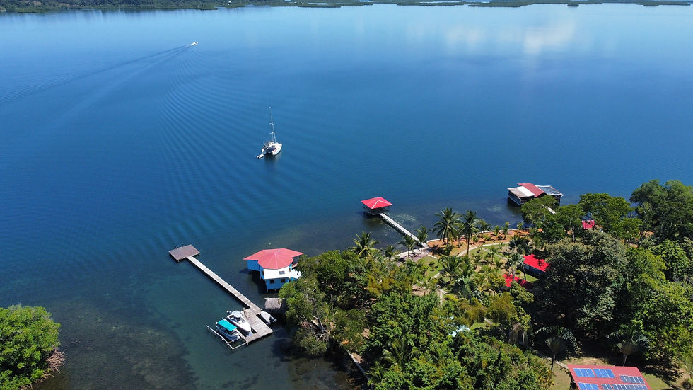 dji_fly_20240306_113812_388_1709743426022_photo_optimized.JPG