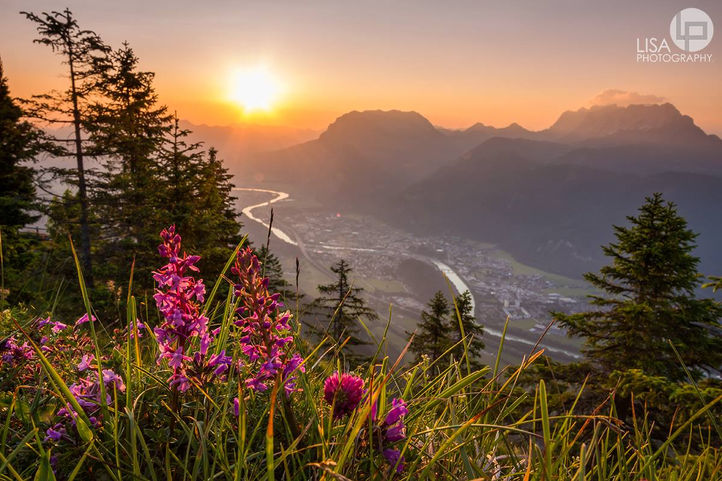 "Atemberaubende Landschaftsfotografie aus Tirol – Lisa Rupprechter, beste Fotografin Kufstein & Tirol. Professionelle Fotografie für Natur, Berge, Seen, Sonnenaufgänge, Hochzeiten, Paare, Kinder, Familien & Portraits. Ihr sucht den besten Fotografen in der Nähe? Ich bin Profi-Fotograf in Kufstein mit langjähriger Erfahrung in Hochzeitsfotografie, Familienfotos, Babyfotos, Eventfotografie & Portraitfotografie. Egal ob emotionale Hochzeitsbilder, natürliche Familienfotos oder atemberaubende Landschaftsaufnahmen – ich fange die schönsten Momente perfekt ein.
Ich bin eure Fotografin für Kufstein, Kiefersfelden, Ebbs, Niederndorf, Oberaudorf, Erl, Langkampfen, Schwoich, Bad Häring, Wörgl, Angath, Angerberg, Mariastein, Kirchbichl, Breitenbach am Inn, Kramsach, Radfeld, Rattenberg, Brixlegg & Alpbach. Hochzeitsfotograf Kufstein, Tirol & Bayern für emotionale & authentische Bilder. Jetzt Termin sichern beim besten Fotografen für Tirol!"