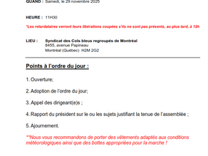 Assemblée extraordinaire du Conseil syndical