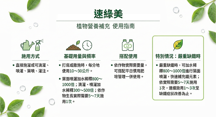 速綠美-02-01.png