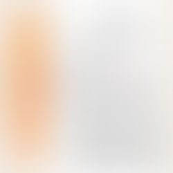 |詐欺案|詐欺面交車手遭羈押,羈押抗告成功