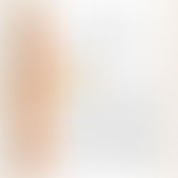 |毒品案|運輸第二級毒品在海外已服刑,回臺後遭起訴,成功爭取判刑3年6月但依刑法第9條免除全部刑之執行