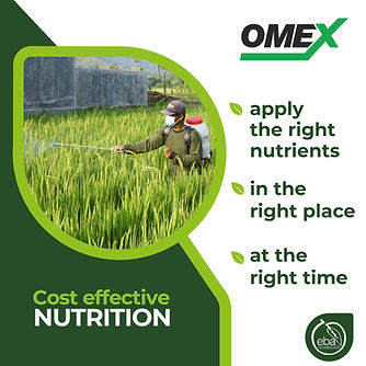 cost-effective-nutrition-finals-04-scaled.jpg