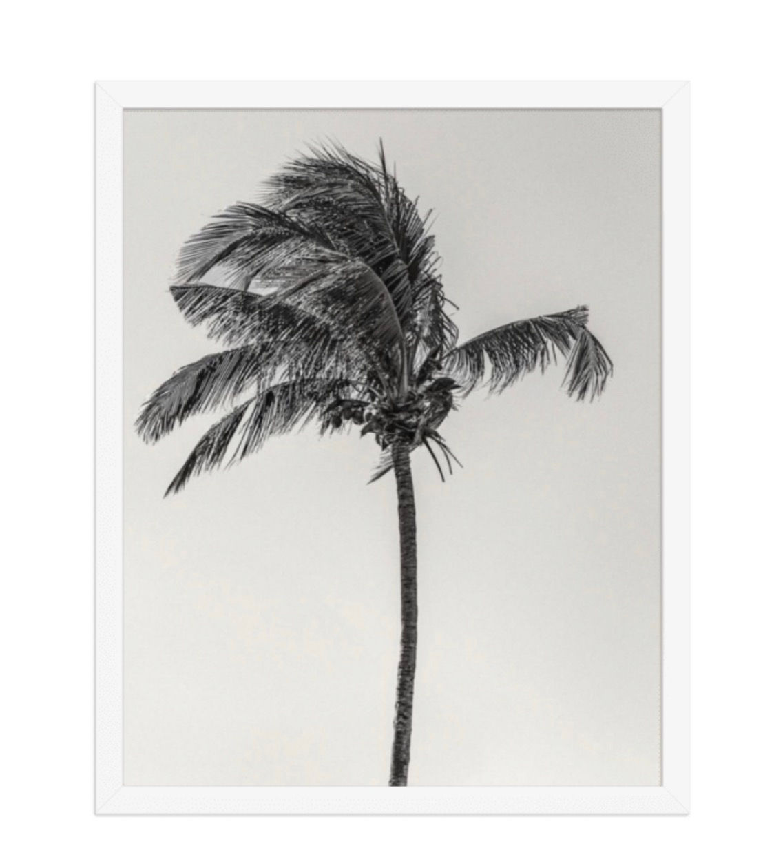 Palm Beach 16x20” Framed Print Limited Edition