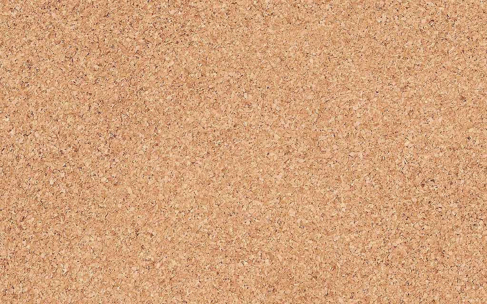 CorkBoard02.jpg