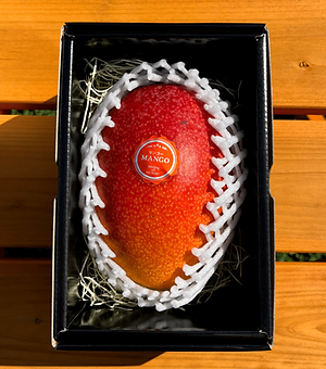 マンゴー商品画像