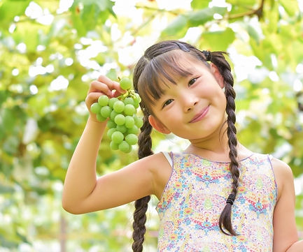 ぶどう狩りを楽しむ女の子