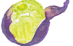 装飾