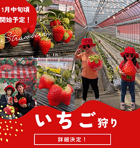 フルーツランドきまがせ｜千葉で愛犬と楽しめる果物狩り