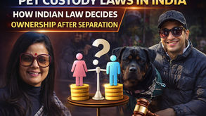 Pet Custody Laws in India: How Indian Law Decides Ownership After Separation
