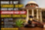 Bhang Is Not 'Cannabis (Hemp)' Under NDPS Act; Jharkhand High Court Quashes Conviction