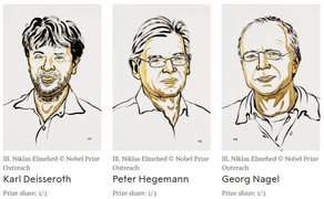 Nobel Prize in Medicine 2026: How Optogenetics Uses Light to Control Brain Cells | Explained