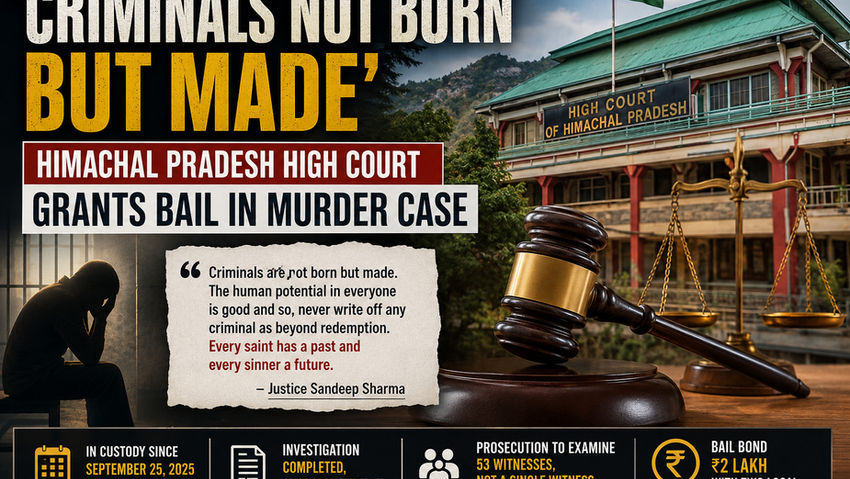 Himachal Pradesh High Court Grants Bail in Murder Case, Says 'Criminals Are Not Born But Made'