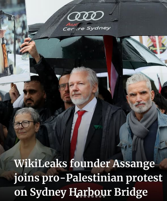 WikiLeaks founder Julian Assange
