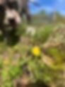 IMG_6099 Large.jpeg