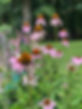 IMG_4880.jpeg