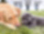 278175090_10219761105369235_4787991557060213521_n_edited.jpg