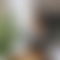 Learning to Pause: How Slowing Down Interrupts the Stress Response