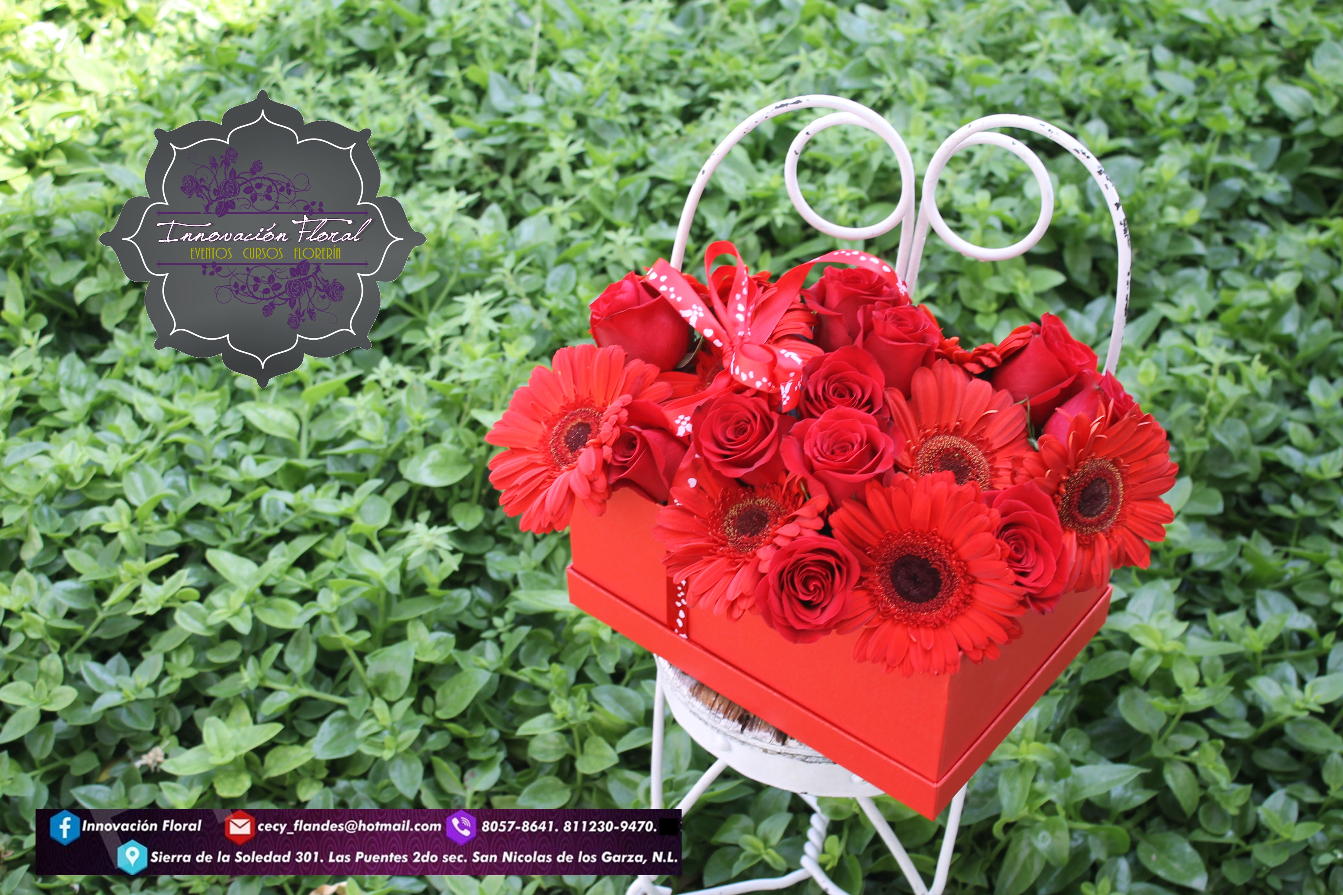 BOX GERBERA Y ROSAS