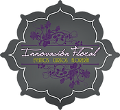 logo ideal 2.png