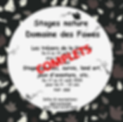Flyers stage 2020 (complet).webp