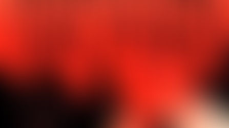 BOOK REVIEW: Notes on Surviving the Fire by Christine Murphy