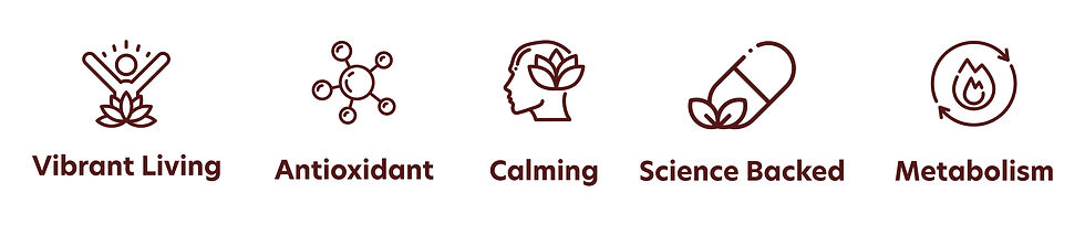 new icons product page.jpg