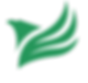 Green_02[1]_edited.png
