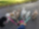 walking_six.jpg
