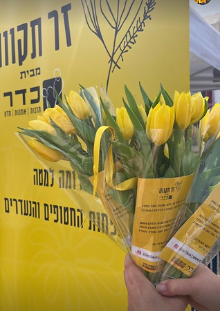 צילום מסך 2024-05-12 101004.png