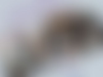 Онлайн-интенсив Школы наставников