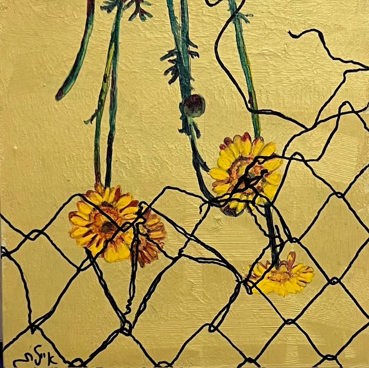 Ayelet Yeruham | איילת ירוחם