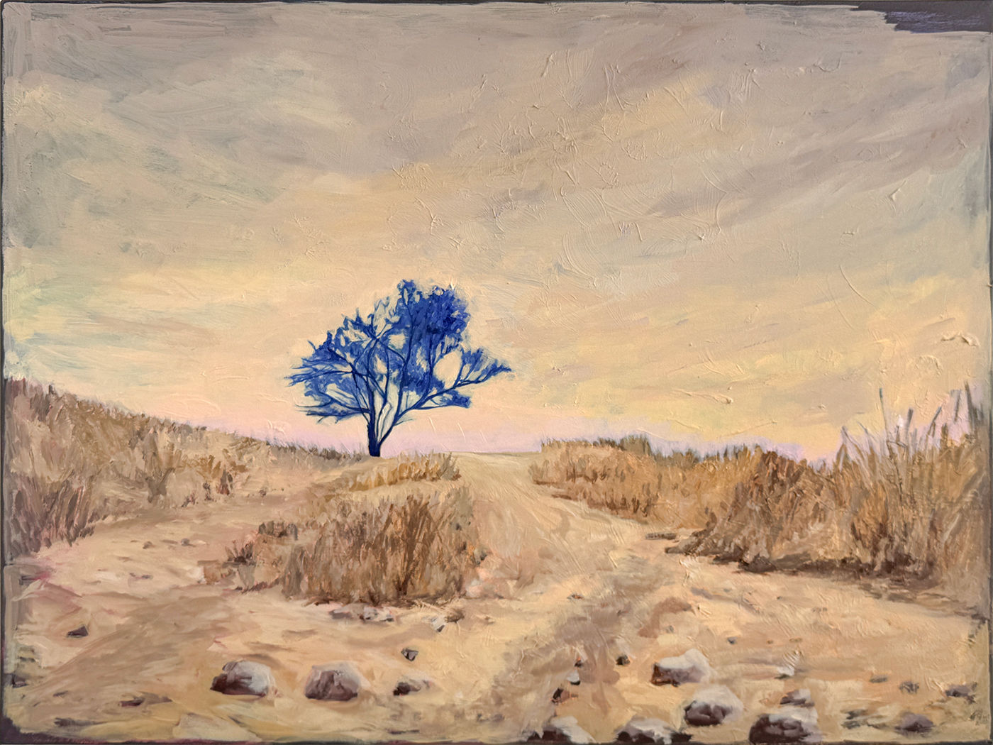 Chen Chefetz | חן חפץ