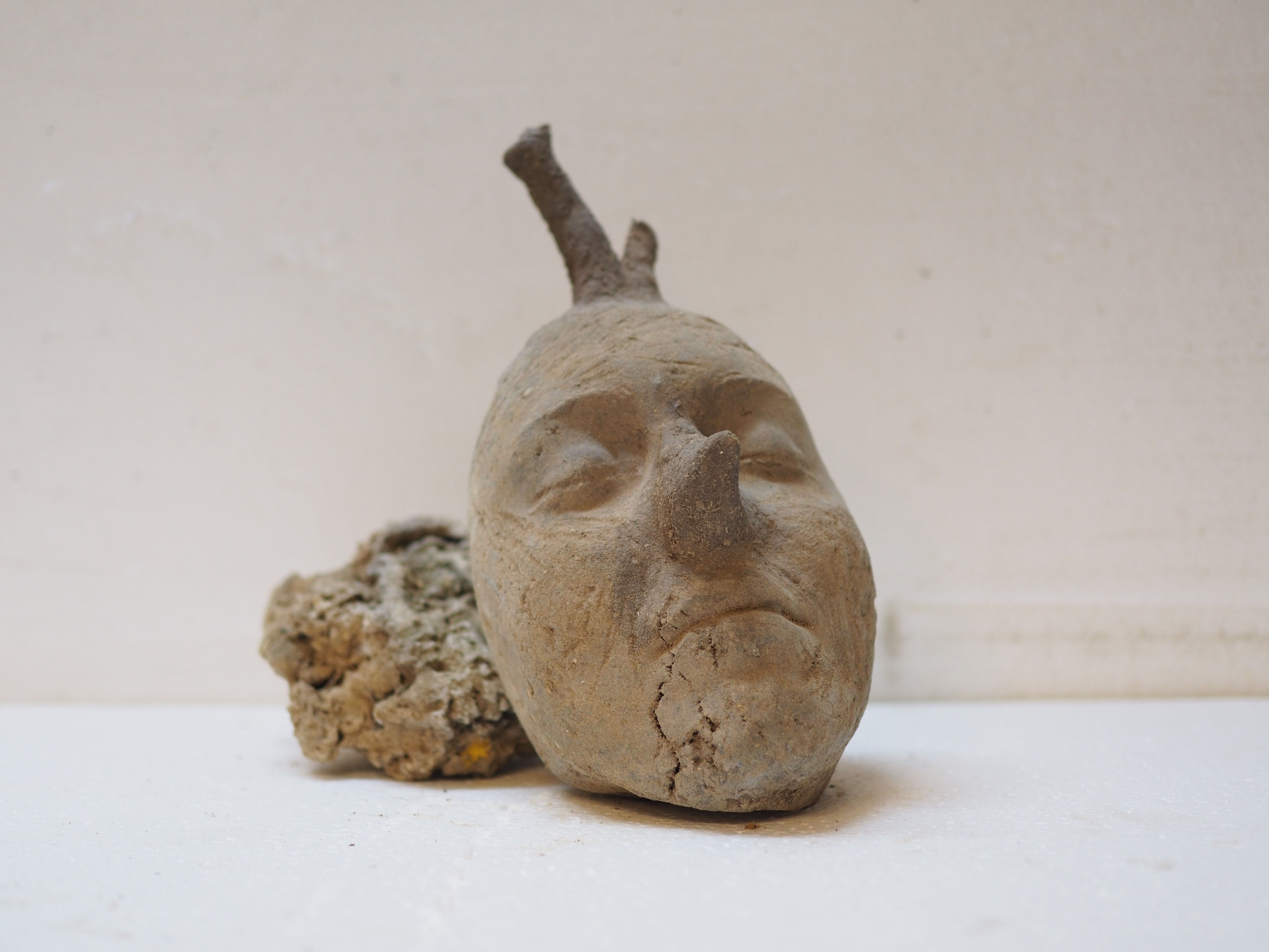 Noa Tavori נועה  תבורי