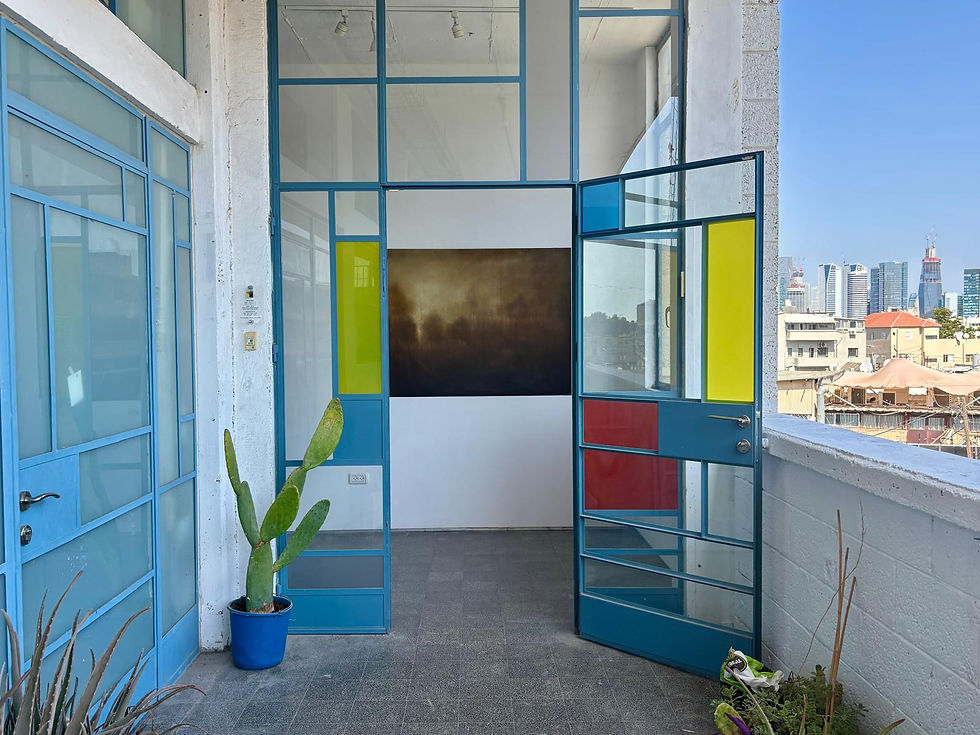 מבט כניסה.jpg