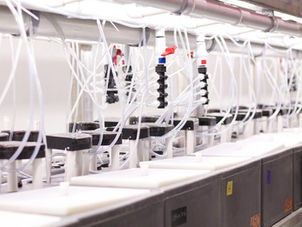 trū Shrimp® Completes Shrimp Lab Renovation