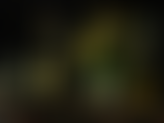 Celebrating the Season with Joy: A Merry Christmas from the Cask Collective Team!