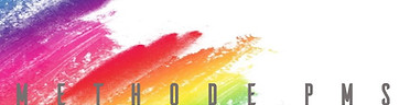 PMS SITE BANDEAU ARC EN CIEL2_edited.jpg