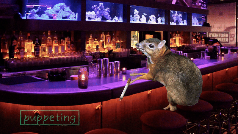 MOTION GRAPHICS REEL