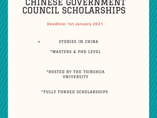 Chinese Government Council Scholarships | Scholarships for international students