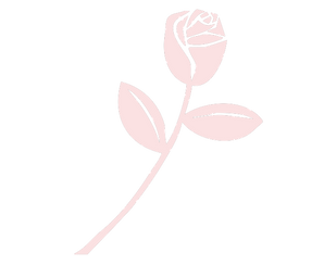 vagina.png