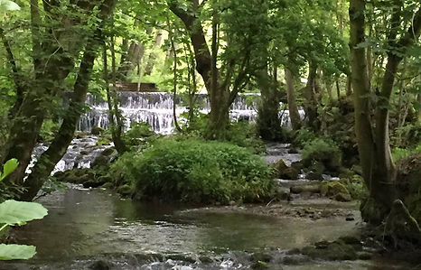 Junior on Pickering Beck