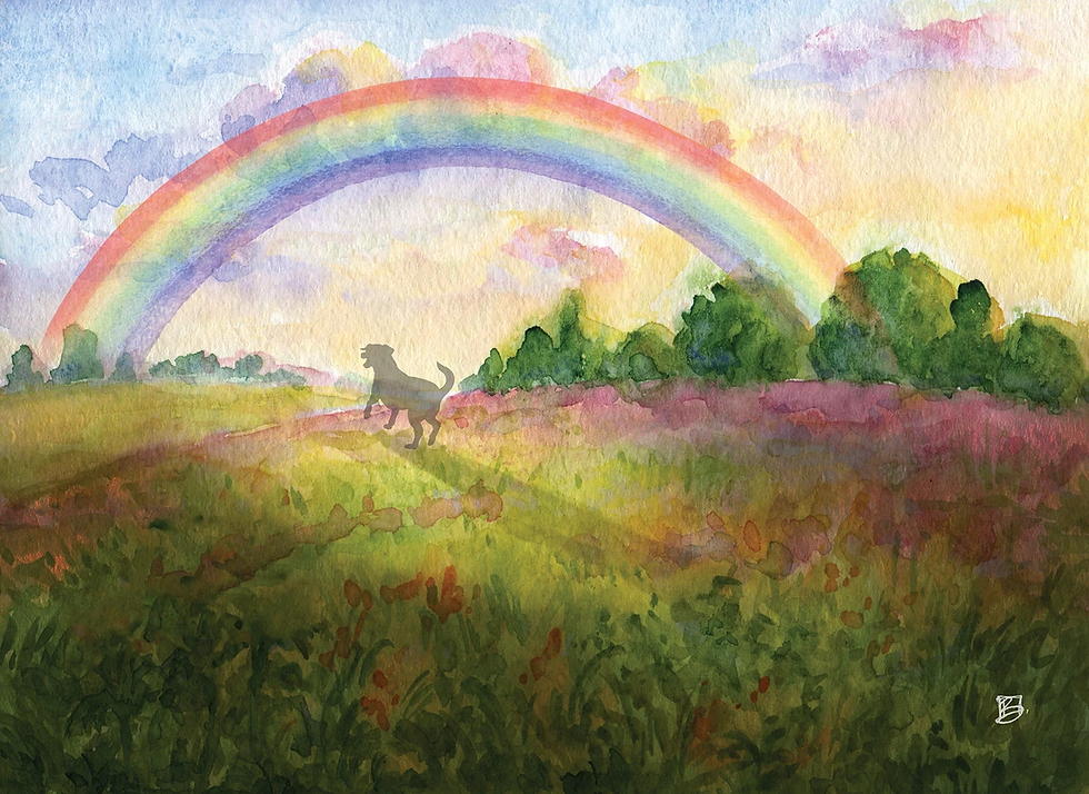 rainbowbridge4.webp