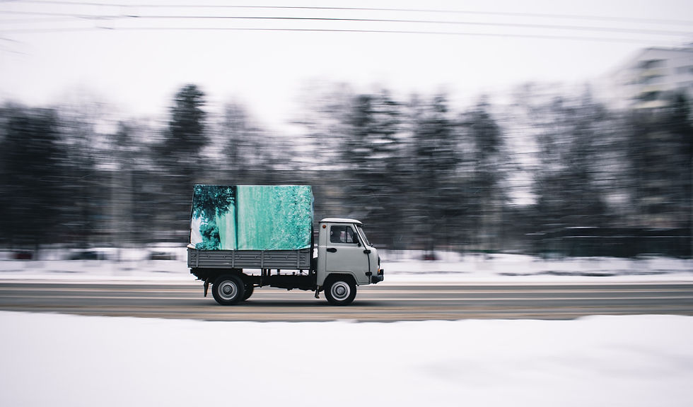 nazar-sharafutdinov-7TcjCk_PRoE-unsplash_edited.jpg