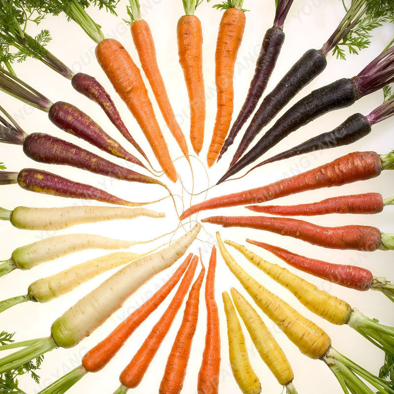 Миниатюра: Многоцветни моркови, бонсай, органични, вкусни зеленчуци, растения за дома, град