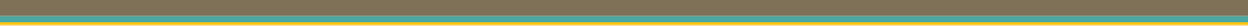 colorful banner