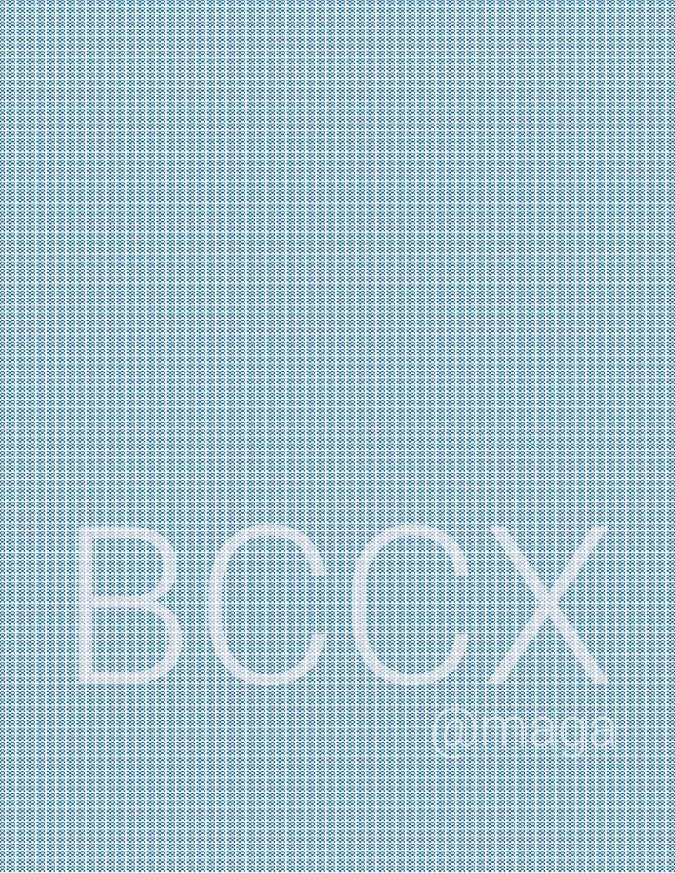 BCCX Logo&Style2