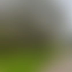 Hayatımı Düzene Sokan 10 Küçük Alışkanlık