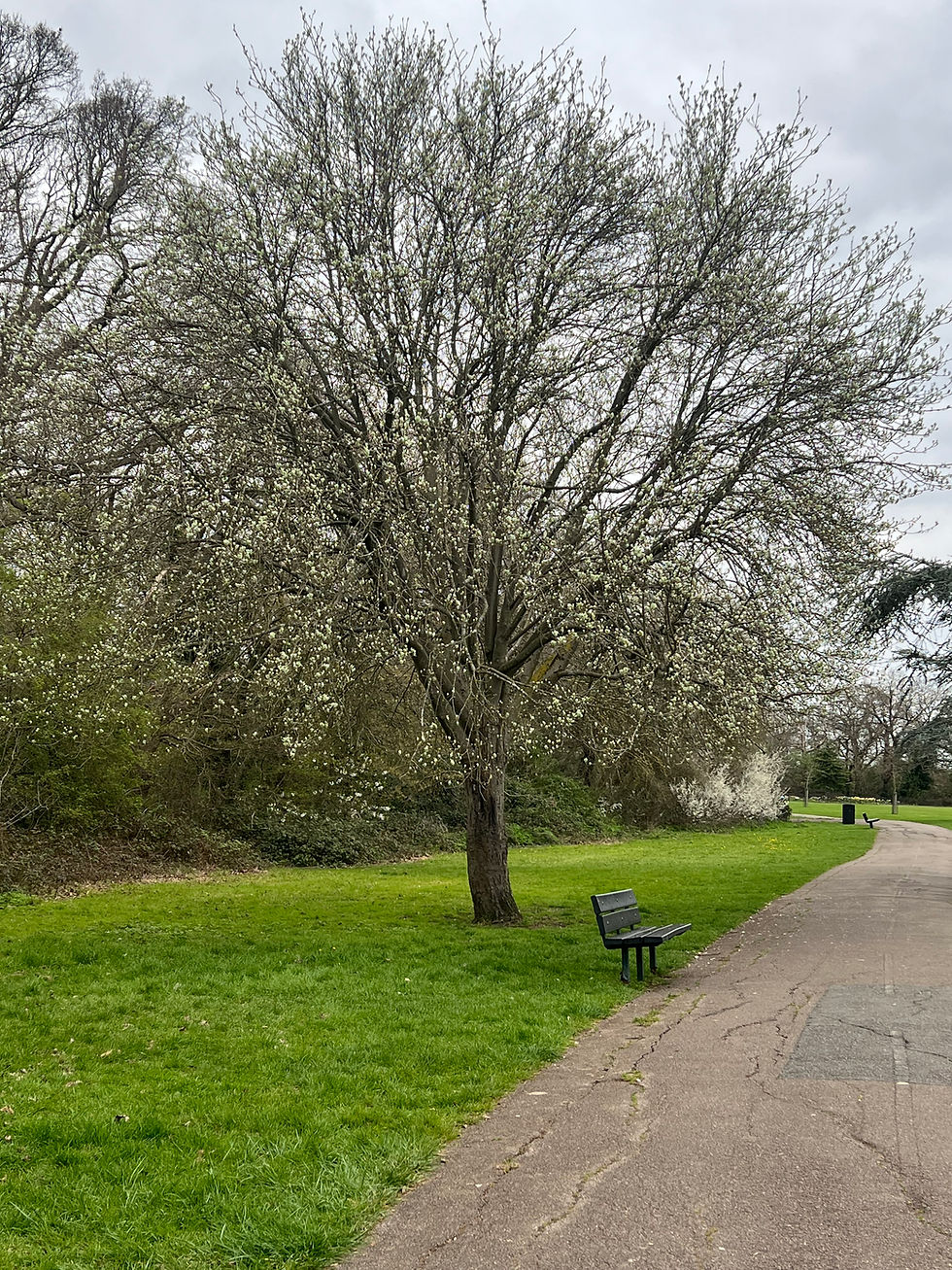 Hayatımı Düzene Sokan 10 Küçük Alışkanlık
