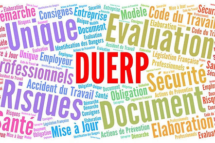 document unique_DUERP_Resthodev
